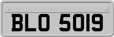 BLO5019