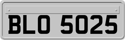 BLO5025