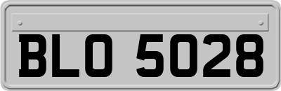 BLO5028