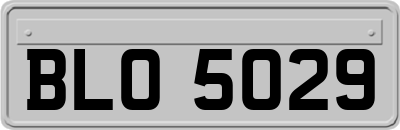BLO5029