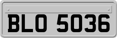 BLO5036