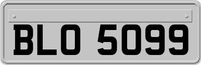 BLO5099