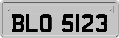BLO5123
