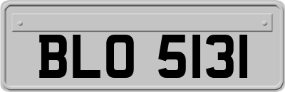 BLO5131