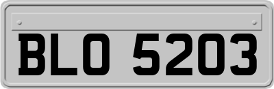 BLO5203