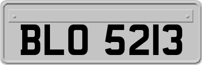 BLO5213