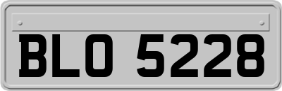 BLO5228