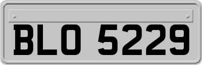 BLO5229