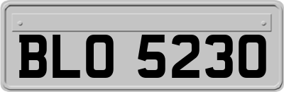 BLO5230