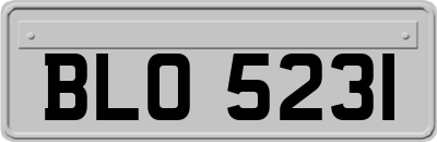 BLO5231