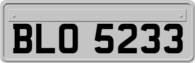 BLO5233