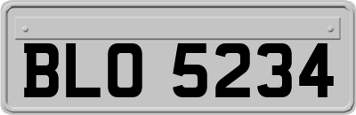 BLO5234