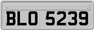 BLO5239