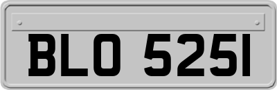 BLO5251
