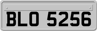 BLO5256