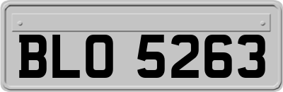 BLO5263