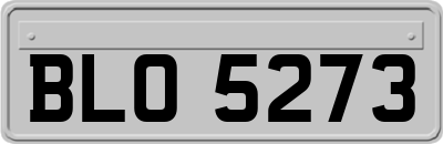 BLO5273
