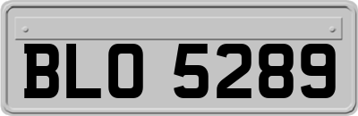BLO5289