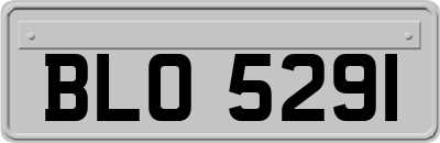 BLO5291