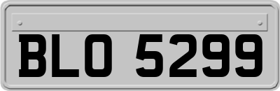 BLO5299