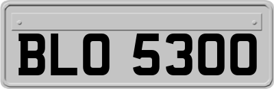 BLO5300