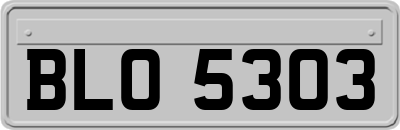 BLO5303