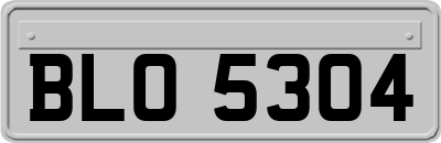 BLO5304