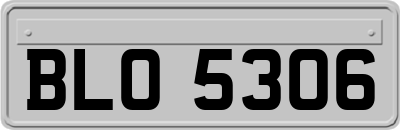BLO5306