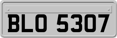 BLO5307