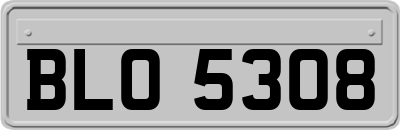 BLO5308
