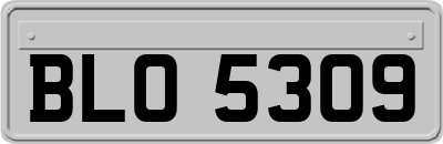 BLO5309