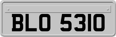 BLO5310