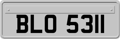 BLO5311