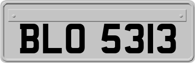 BLO5313