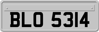 BLO5314