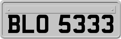 BLO5333