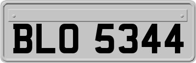 BLO5344