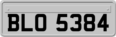 BLO5384