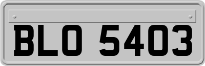BLO5403