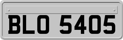 BLO5405