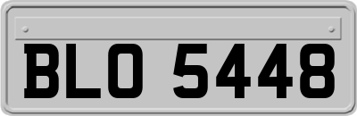 BLO5448