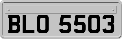 BLO5503