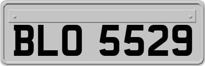 BLO5529