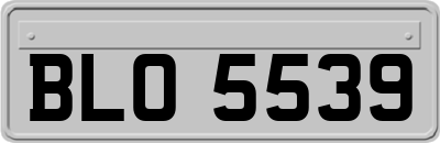 BLO5539