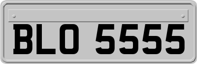 BLO5555