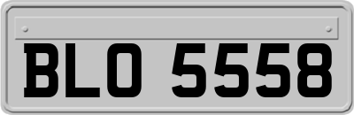 BLO5558