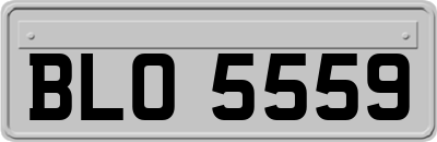 BLO5559