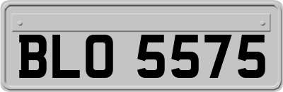 BLO5575