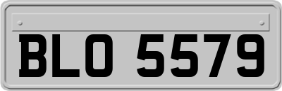 BLO5579