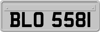 BLO5581